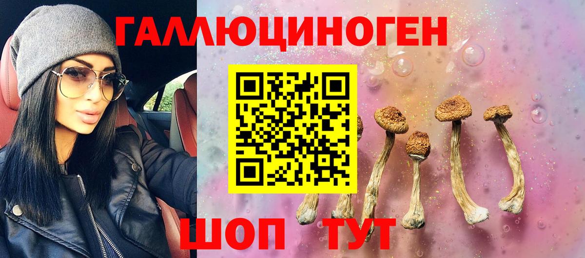 Новомосковск  Галлюциногенные грибы мухоморы  Вход с VPN  Галлюциногенные грибы Cubensis 
